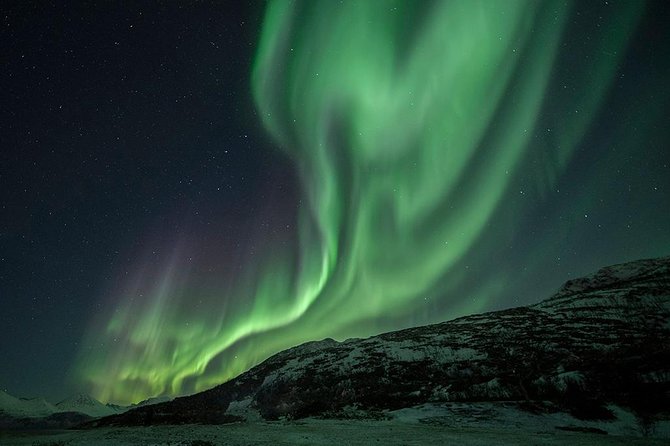 Tromso Aurora Hunt with Bonfire, Soup, Winter Gear & Transfers - Thermal suits help, but your own layers still matter