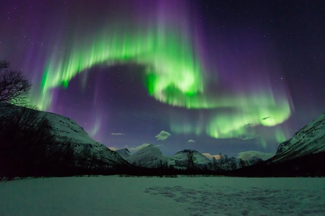 Tromso Aurora Hunt with Bonfire, Soup, Winter Gear & Transfers - The people make a large difference