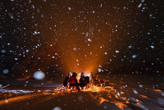 Tromso Aurora Hunt with Bonfire, Soup, Winter Gear & Transfers - Is $226.72 a fair price?