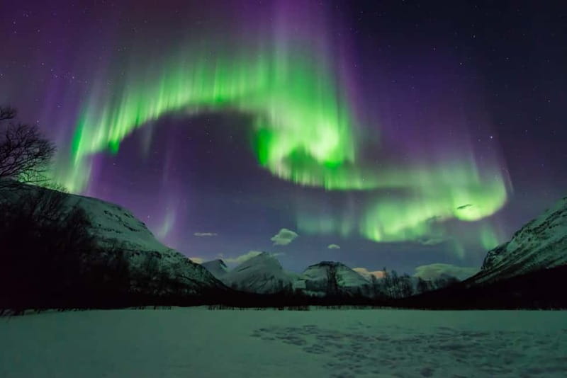 Tromsø: Aurora Hunt with Citizen Science - Chasing clear skies beyond Tromsø