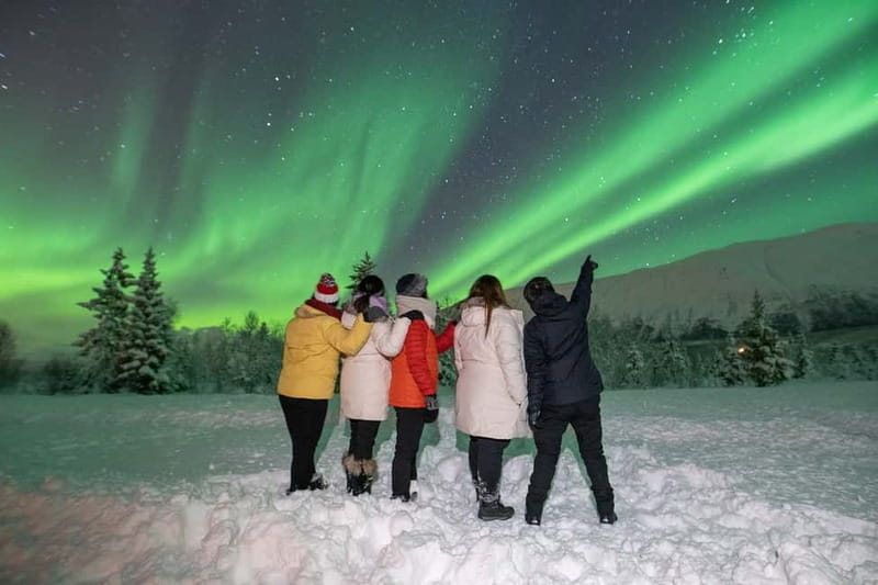 Tromsø: Aurora Safari Chase by big bus with Camp meal - Fish soup, stew, and a useful vegetarian option