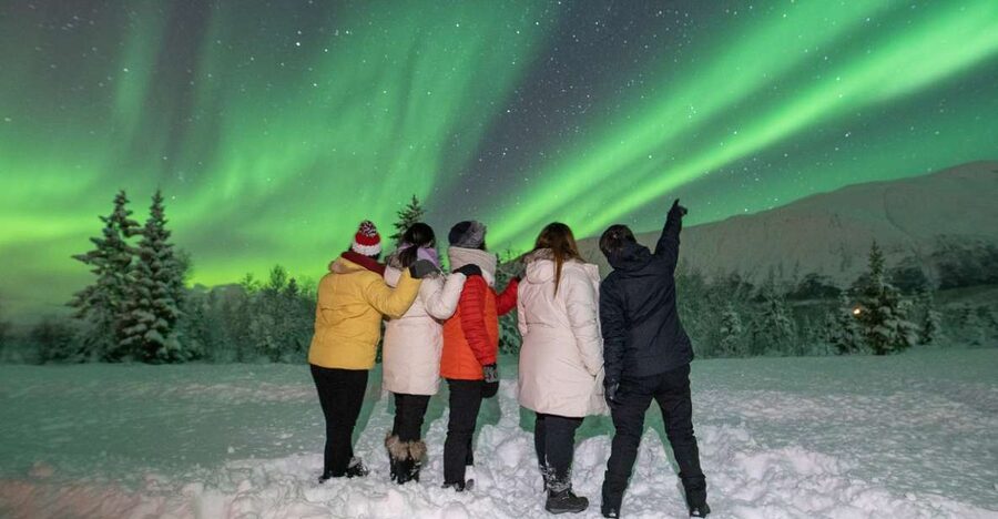 Tromsø: Aurora Safari Chase by big bus with Camp meal - Should you book the Tromsø Aurora Safari Chase?