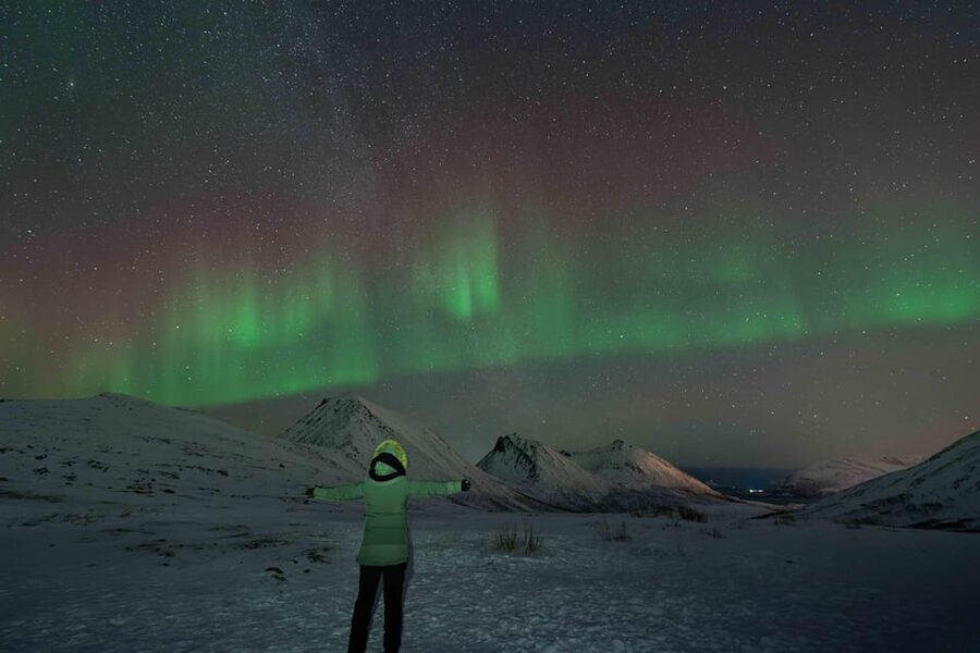 Tromsø: Aurora Tour with Photos, Campfire and Arctic Food - Who will enjoy this most