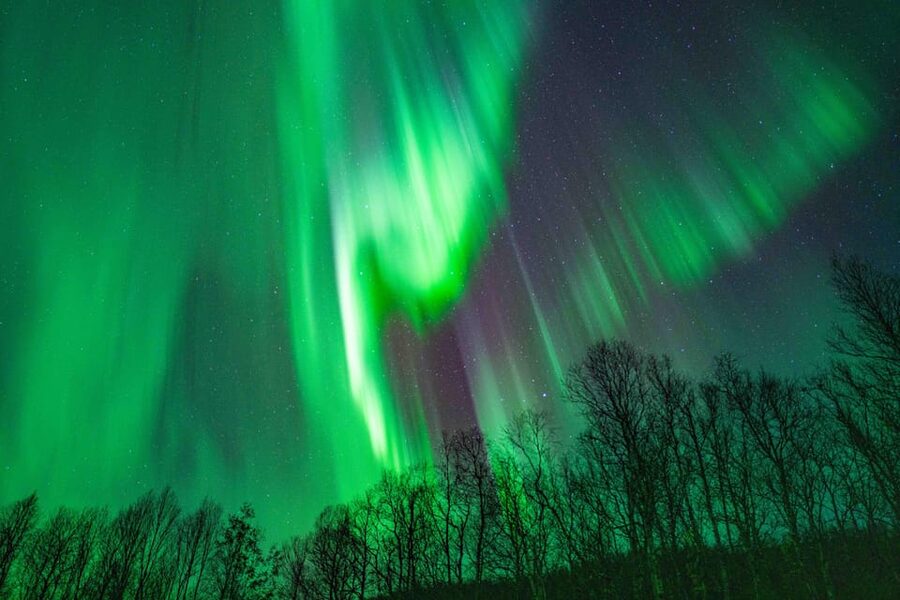 Tromsø: Aurora Tour with Photos, Campfire and Arctic Food - Watching the sky with people who keep trying