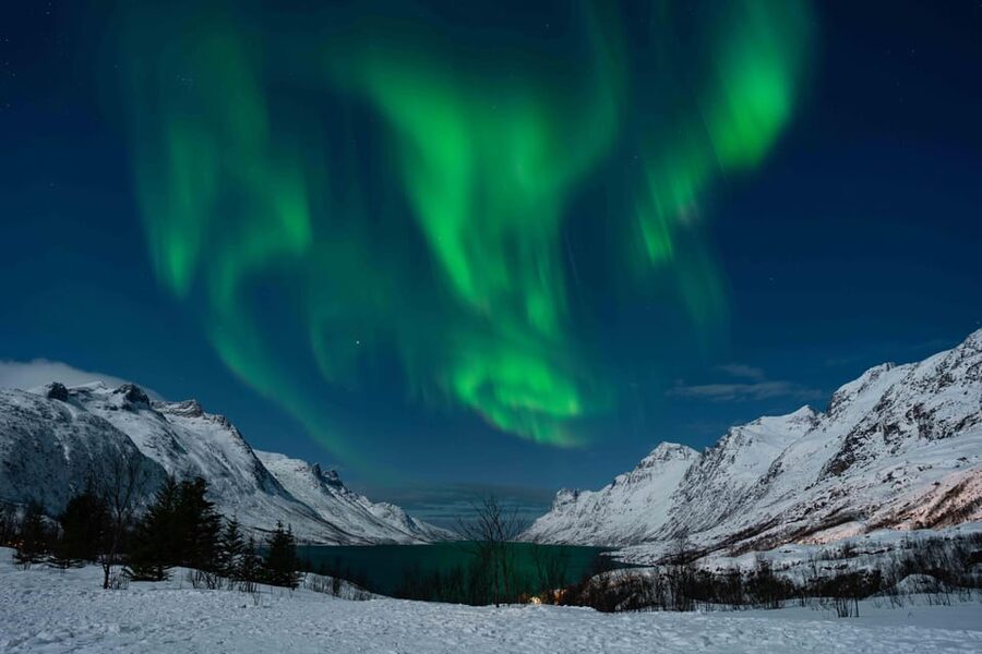 Tromsø: Aurora Tour with Photos, Campfire and Arctic Food - What the $304 price buys you
