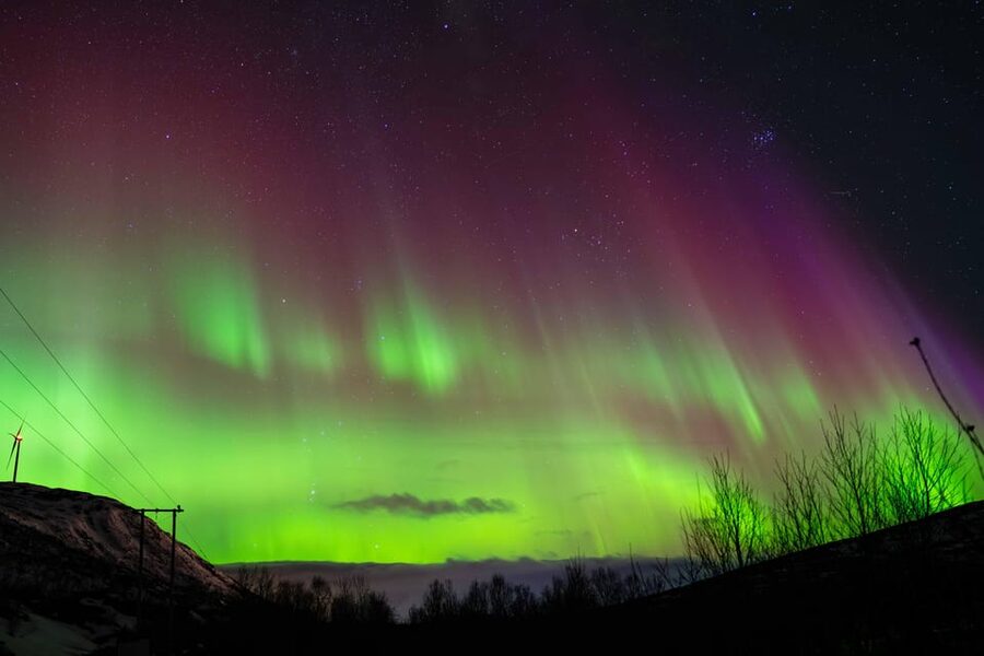 Tromsø: Aurora Tour with Photos, Campfire and Arctic Food - Timing, flexibility, and the real length of the night