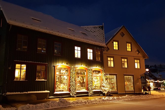 Tromsø City Walk - A private two-hour introduction to the city