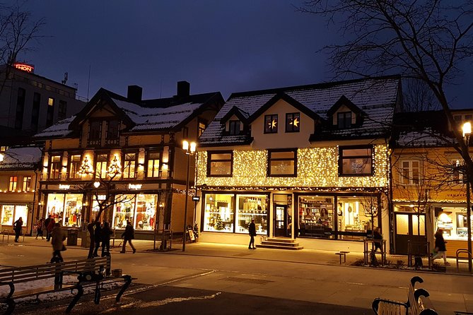 Tromsø City Walk - Who should book this walk