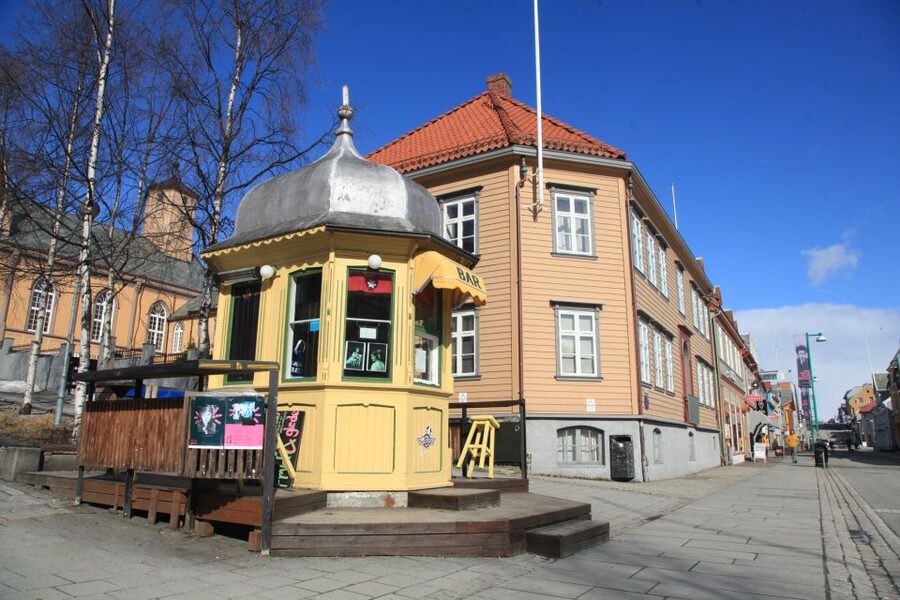 Tromsø: City Walk & Polar Museum (Private or Shared) - Guide quality matters here