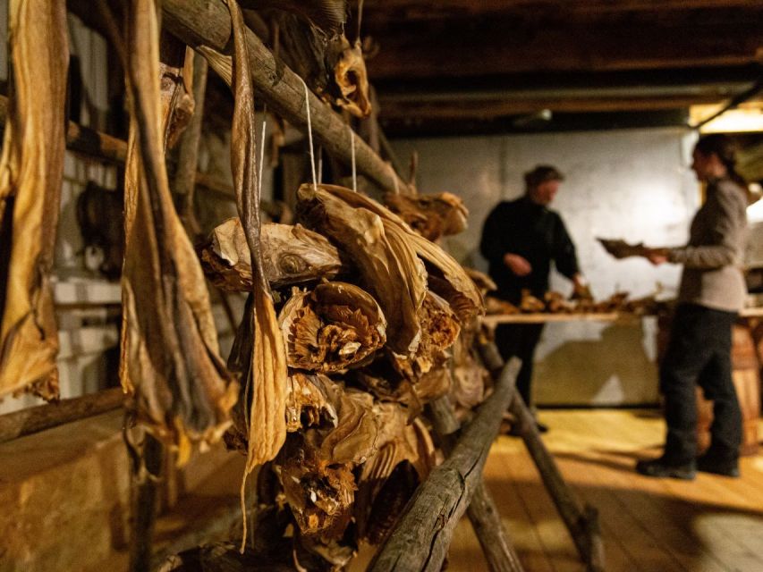 Tromso: Cod-Tasting Tour with Full Steam Museum Entry - Who will enjoy Full Steam most?