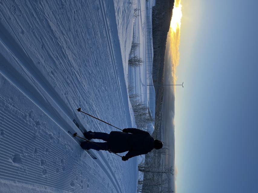 Tromsø: Cross Country Guided Skiing Course - Key points at a glance