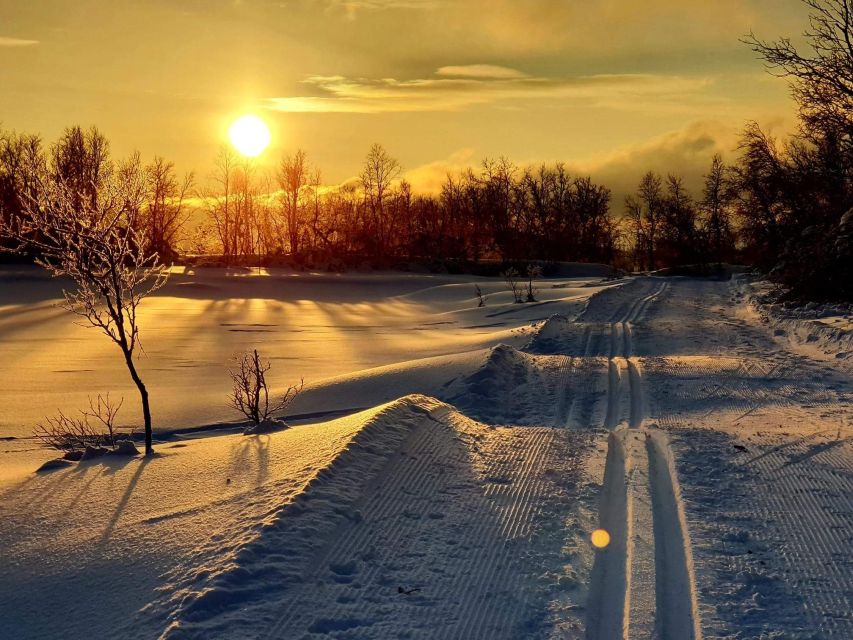 Tromsø: Cross Country Guided Skiing Course - The first lesson: balance before distance