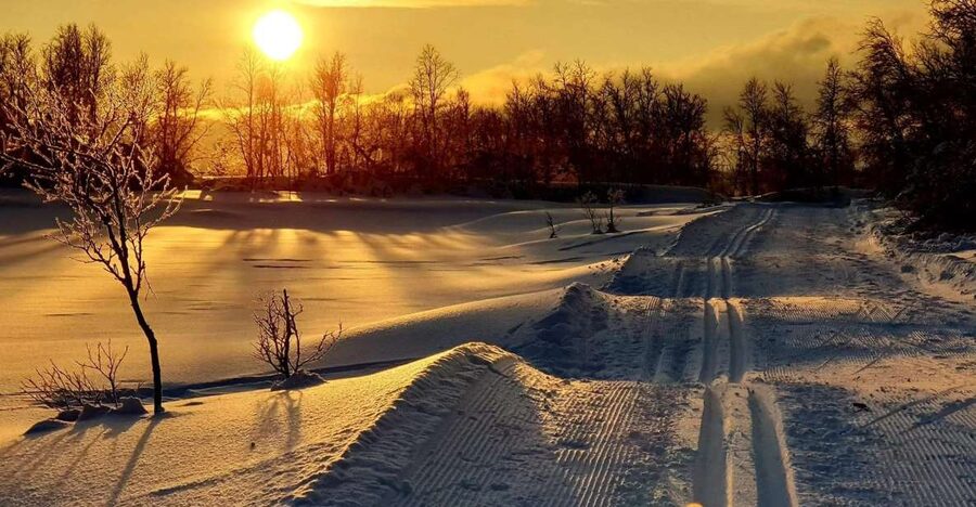 Tromsø: Cross Country Guided Skiing Course - What the 99 dollar price includes