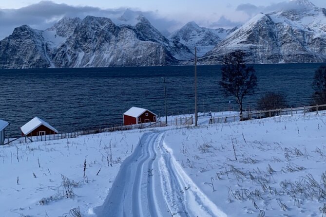 Tromsø Cross-Country Ski Adventure - Equipment, fitness, and comfort