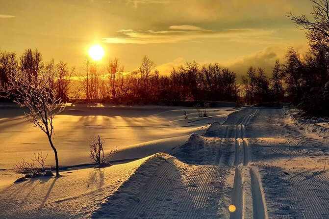 Tromsø Cross-Country Ski Adventure - Forest trails, mountain views, and winter quiet