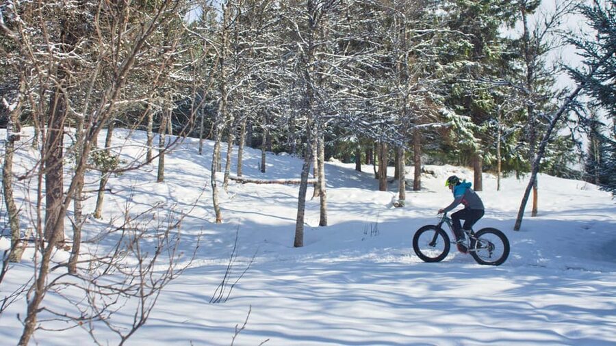 Tromsø: Electric fatbike trip on winter paths - What electric assistance feels like on snow