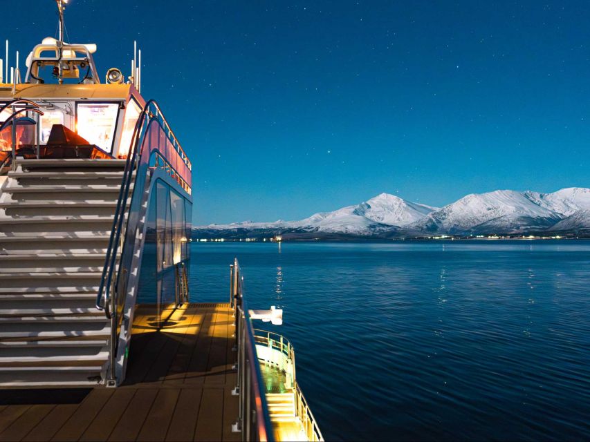 Tromsø: Electric Northern Lights Cruise - Key points to know before sailing