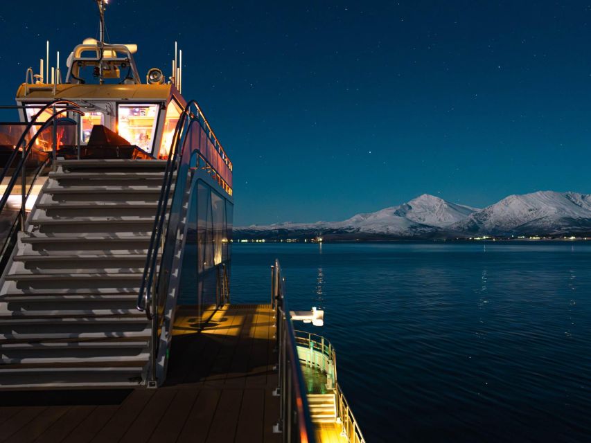 Tromsø: Electric Northern Lights Cruise - Who will enjoy this cruise most