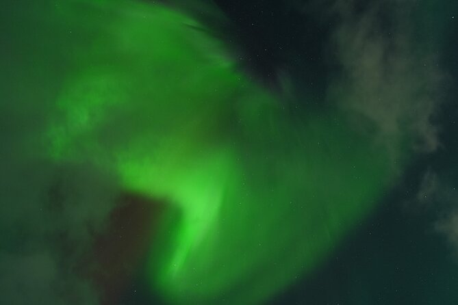 Tromsø: English/Spanish Aurora Pathfinder Tour with Photos - Warm drinks, thermal suits, and the cold