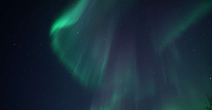 Tromsø: Evening Aurora Cruise (dinner optional) - Key points at a glance