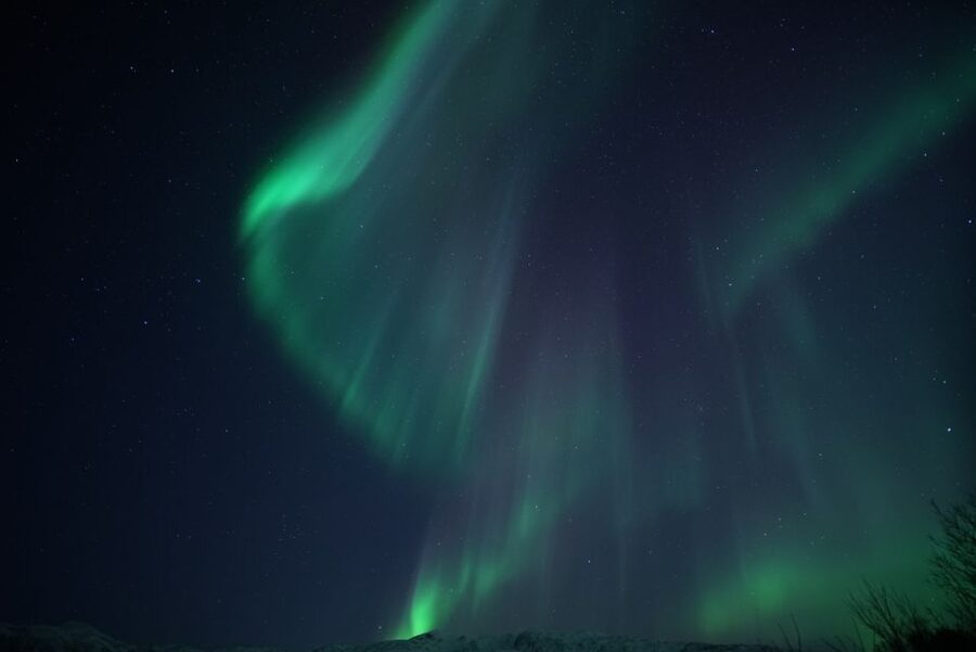 Tromsø: Evening Aurora Cruise (dinner optional) - What happens if the lights do not appear
