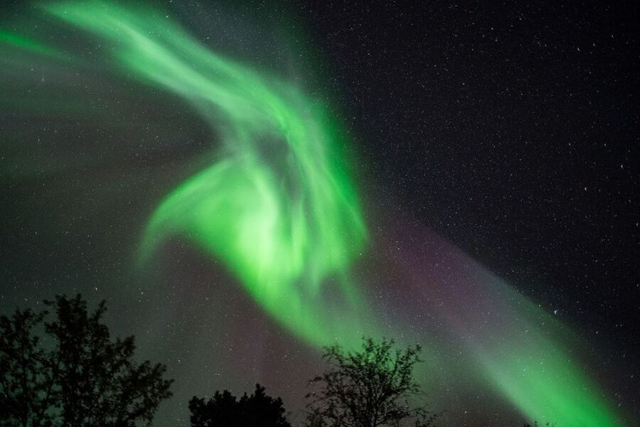 Tromsø: Evening Aurora Cruise (dinner optional) - Why the sea can be a smart place to search