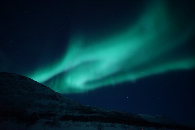 Tromsø: Evening Cruise with Northern Lights Opportunity - Key points to know before you sail