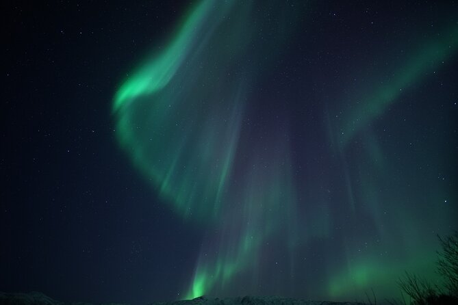 Tromsø: Evening Cruise with Northern Lights Opportunity - Sailing from Tromsø at 8 p.m.