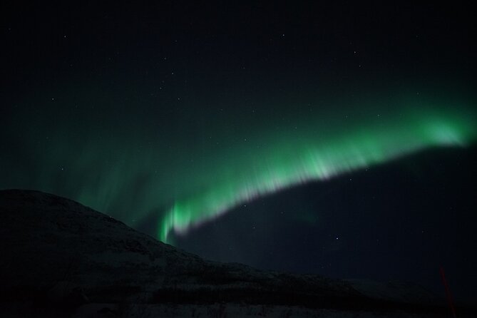 Tromsø: Evening Cruise with Northern Lights Opportunity - Watching the Aurora from the deck
