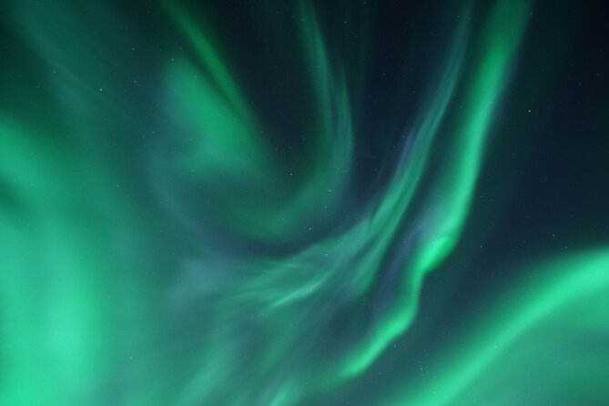 Tromsø: Evening Cruise with Northern Lights Opportunity - Is $128.52 a fair price?