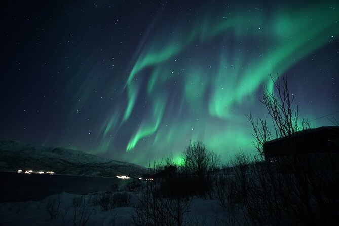 Tromsø: Evening Cruise with Northern Lights Opportunity - Weather, cancellations, and realistic expectations