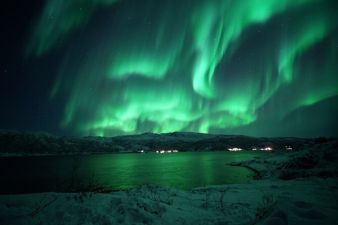 Tromsø: Evening Cruise with Northern Lights Opportunity - What the three-and-a-half-hour route gives you