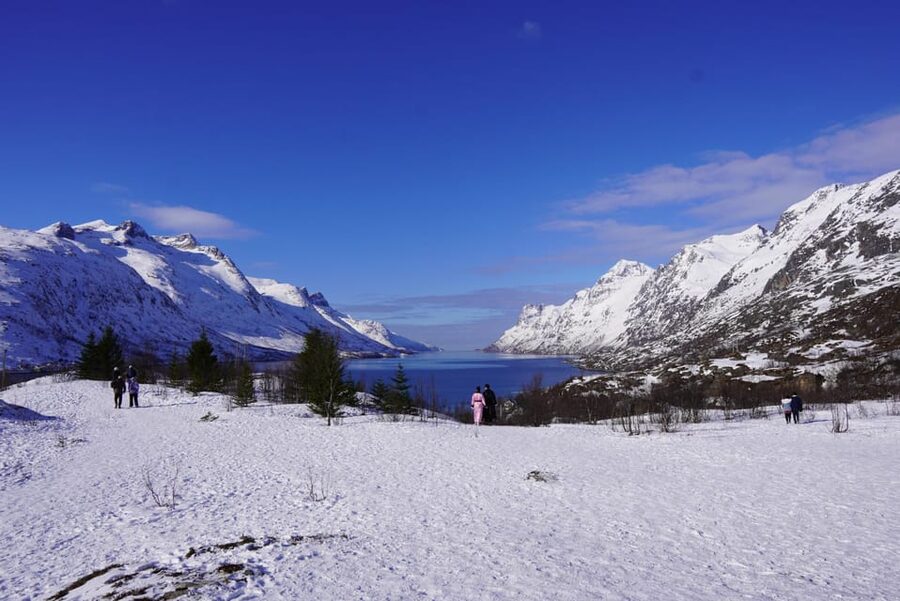 Tromsø: Exclusive Fjord Adventure by Bus - The ride toward Tromsø’s fjords