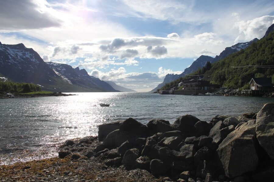 Tromsø: Exclusive Fjord Adventure by Bus - Wildlife, weather, and realistic expectations