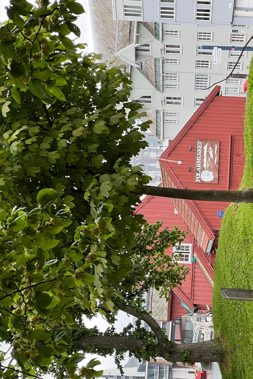 TROMSØ: Explore The City And a Guided Tour Of PolarMuseum! - Mosaic art, Town Hall, and the Arctic library