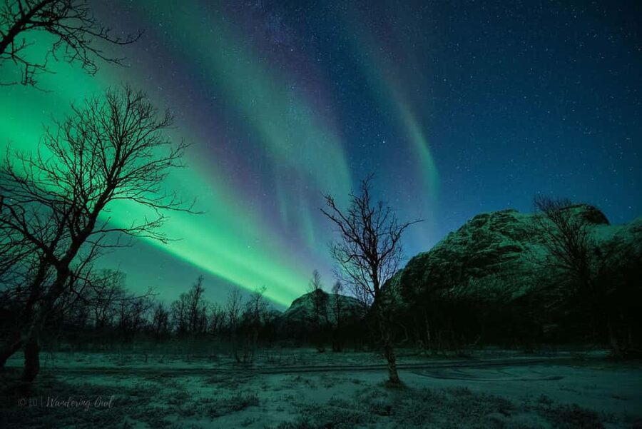Tromsø: Express Aurora Hunt - Dressing for up to two and a half hours outdoors