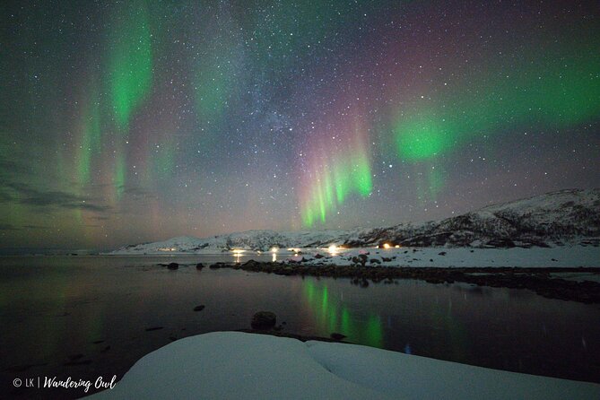 Tromsø: Express Aurora Hunt with Wandering Owl - Four hours of focused aurora hunting