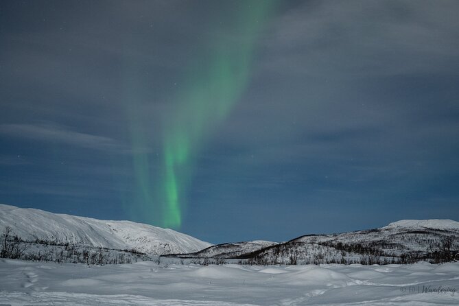 Tromsø: Express Aurora Hunt with Wandering Owl - The real value of $129.23