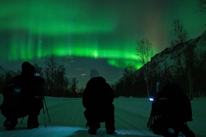 Tromsø: Express Aurora Hunt with Wandering Owl - Warm drinks, snacks, and what to wear