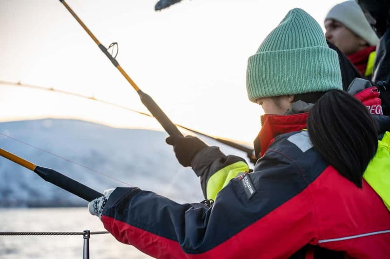 Tromsø: Fishing Sea Safari - Setting out from central Tromsø
