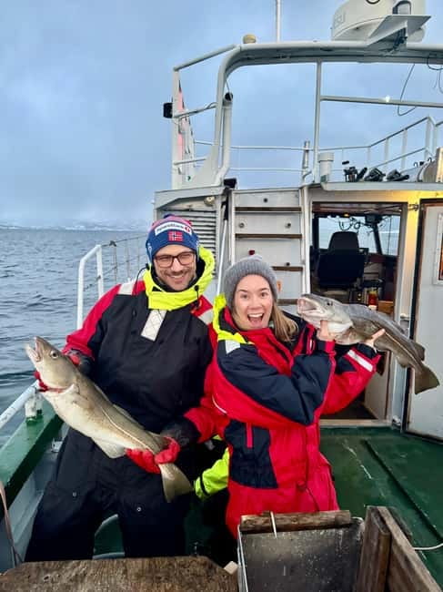 Tromsø: Fishing Sea Safari - Fishing with six rods and a fishfinder