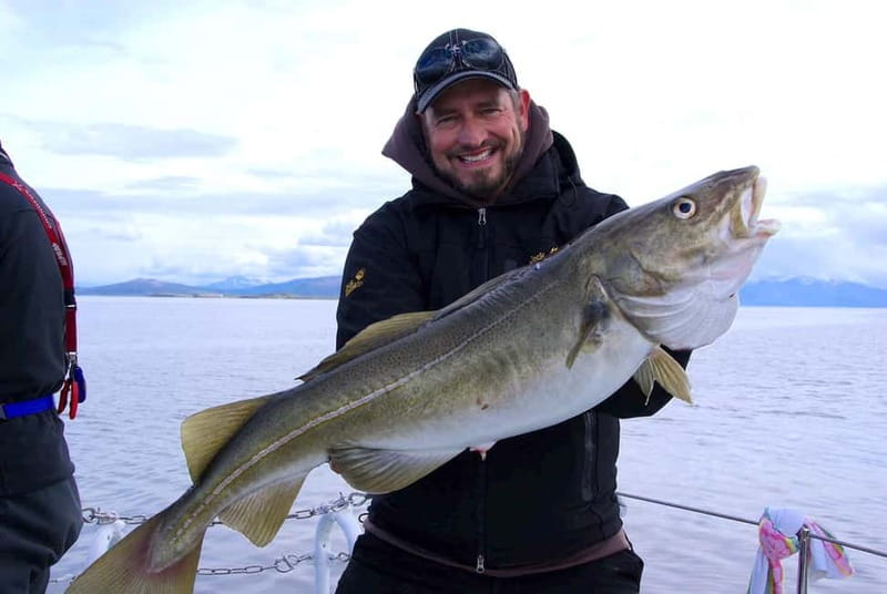 Tromsø: Fishing Sea Safari - Warm soup in the middle of the sea