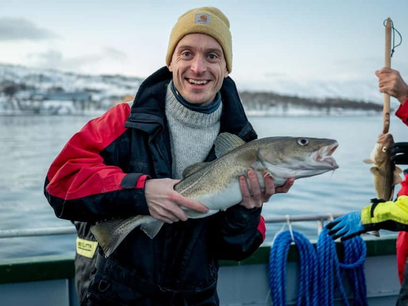 Tromsø: Fishing Sea Safari - Price, clothing, and booking details