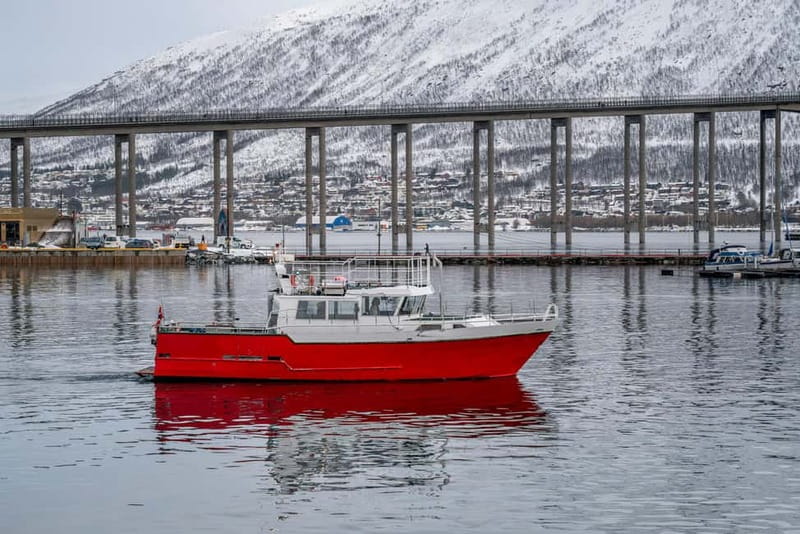 Tromsø: Fishing Sea Safari - The three-hour run through Tromsø’s nearby waters