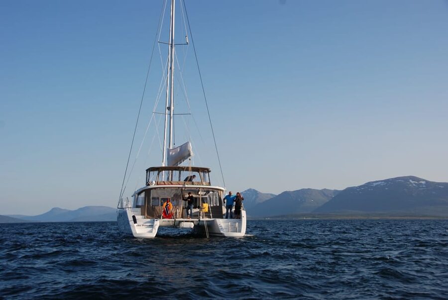 Tromsø: Fjord and Islands Luxury Catamaran Cruise - Who will enjoy this cruise most