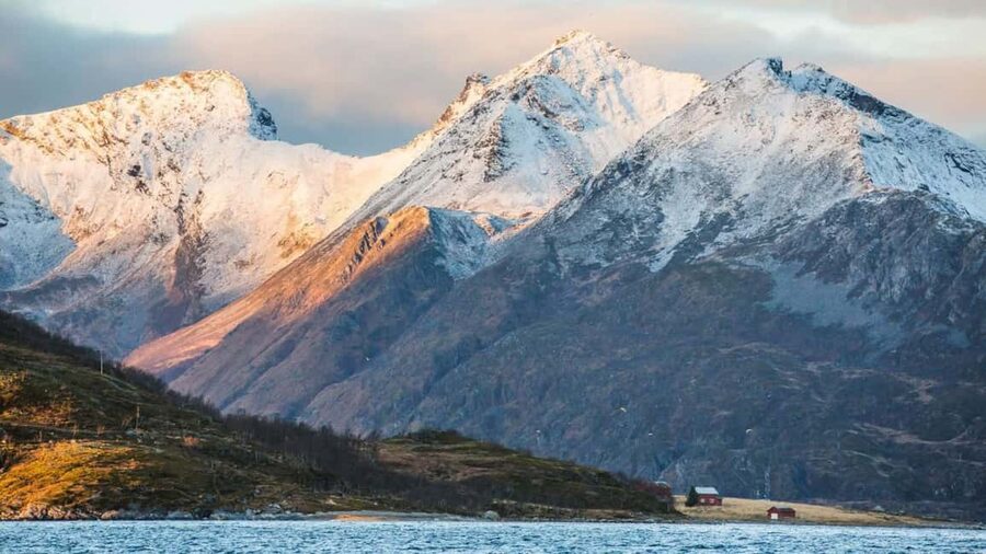 Tromso: Fjord Arctic Adventure Expedition - What this Tromsø fjord tour is really like