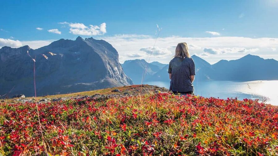 Tromso: Fjord Arctic Adventure Expedition - Why the photo stops matter