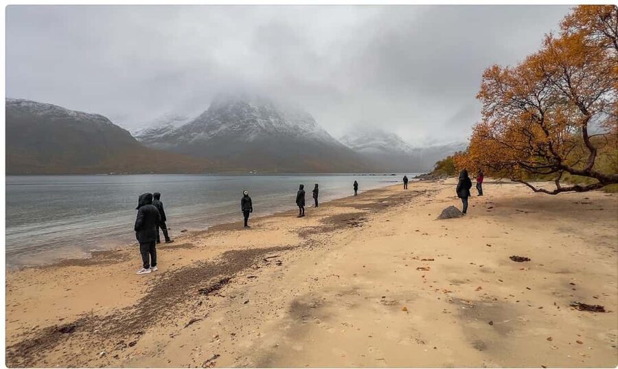 Tromso: Fjord Arctic Adventure Expedition - Beaches, viewpoints, and small coastal towns
