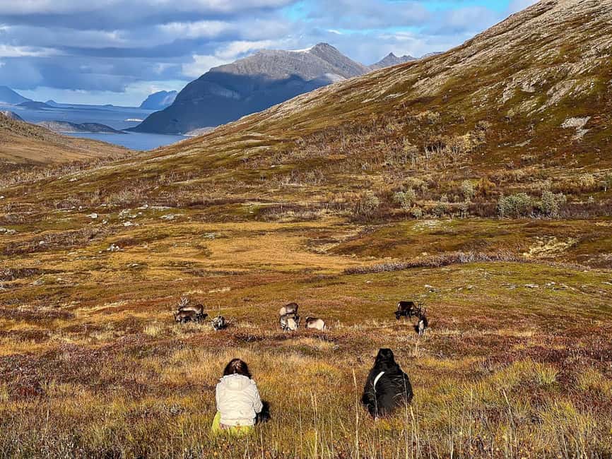 Tromso: Fjord Arctic Adventure Expedition - Cold-weather planning for five hours outside