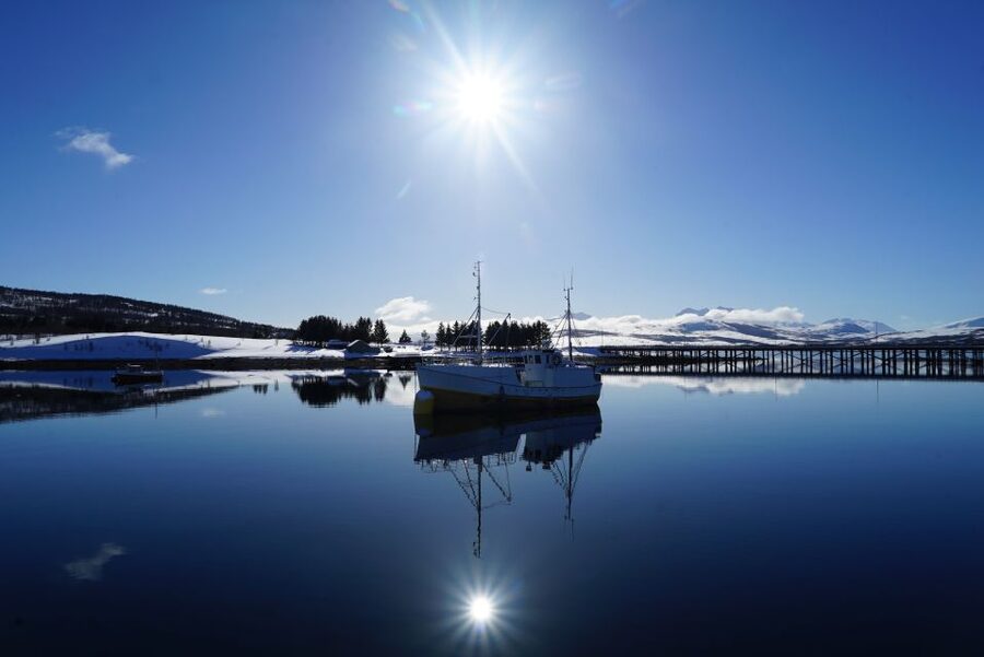Tromsø: Fjord Cruise by Luxury Yacht - Who should book this three-hour cruise?